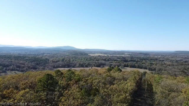 0000 CAUGHERN LANE, HODGEN, OK 74939, photo 2 of 36