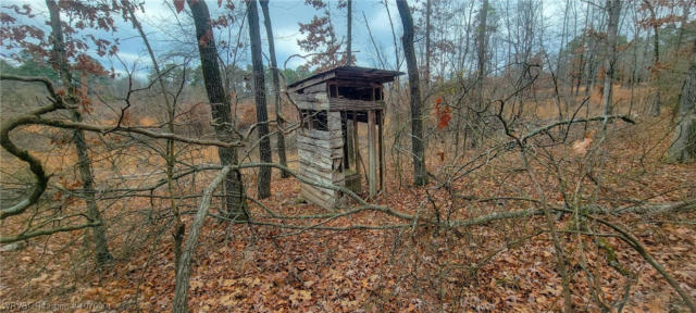 2.1 ACRES +/- HIGH ROCK ROAD, RUDY, AR 72952, photo 4 of 19