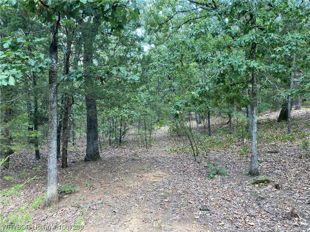 TBD 0000 QUARRY BLUFF ROAD, BLUE MOUNTAIN, AR 72826, photo 1 of 17