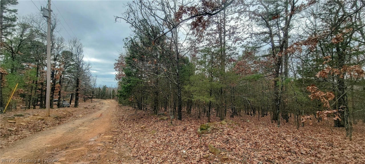 2.0 ACRES+/- HIGH ROCK ROAD, RUDY, AR 72952, photo 1 of 11