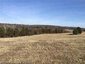 4736 SCOTT FARM LOOP, VAN BUREN, AR 72956, photo 1